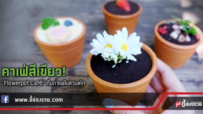 คาเฟ่สีเขียว!  “Flowerpot Café” ดื่มกาแฟในสวนเค้ก