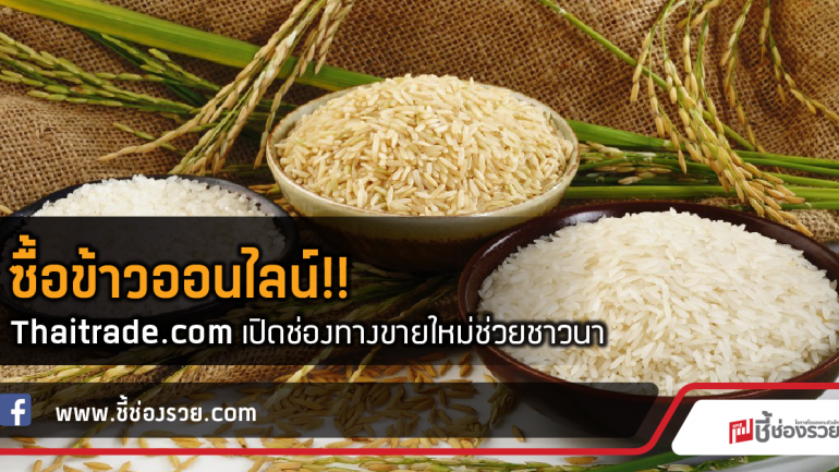 ซื้อข้าวออนไลน์!!  Thaitrade.com เปิดช่องทางขายใหม่ช่วยชาวนา