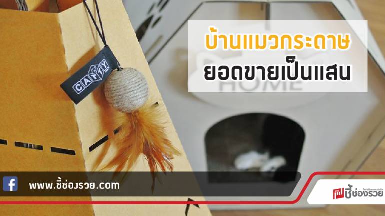 “Catty Craft” บ้านแมวกระดาษ โดดเด่นดีไซน์ วัสดุคุณภาพราคาถูก ยอดขายเป็นแสน