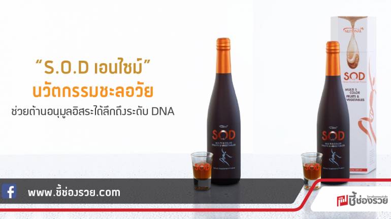 “S.O.D เอนไซม์” นวัตกรรมชะลอวัย ช่วยต้านอนุมูลอิสระได้ลึกถึงระดับ DNA