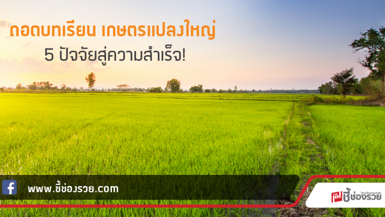 ถอดบทเรียน เกษตรแปลงใหญ่  5 ปัจจัยสู่ความสำเร็จ!