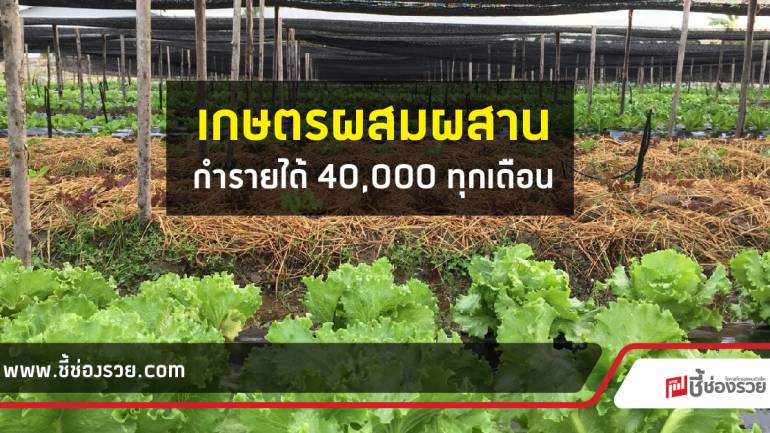 ธำรงฟาร์ม เกษตรผสมผสานแบบอินทรีย์​ สไตล์คนรุ่นใหม่ สร้างทั้งความสุขและรายได้ไปพร้อมกัน!