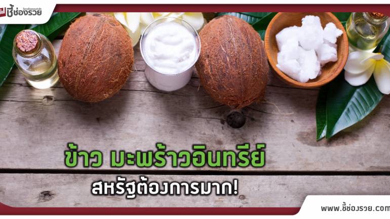 พาณิชย์ แนะข้าว,มะพร้าวอินทรีย์ สหรัฐต้องการมาก