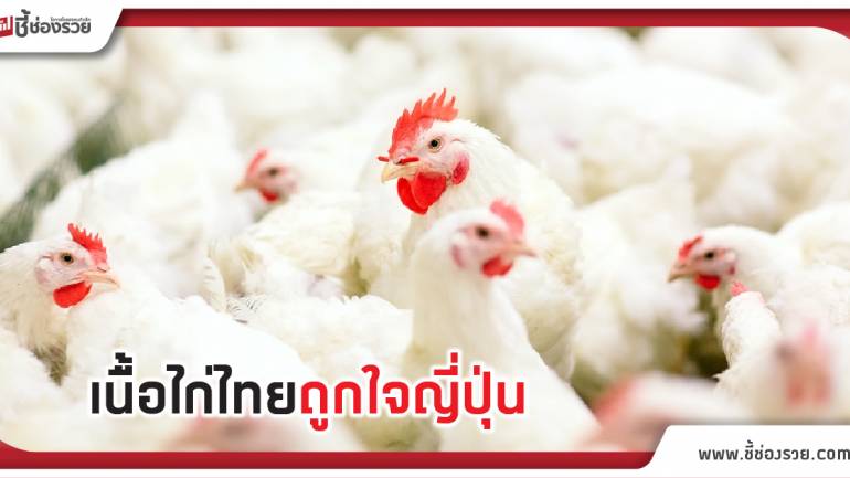 พณ.ชี้ชาวญี่ปุ่นนิยมบริโภคไก่ไทยเพิ่ม ดันส่งออกโต