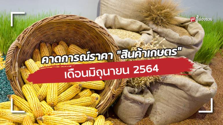 ศูนย์วิจัย ธ.ก.ส. คาดการณ์ราคา “สินค้าเกษตร” เดือนมิถุนายน 2564