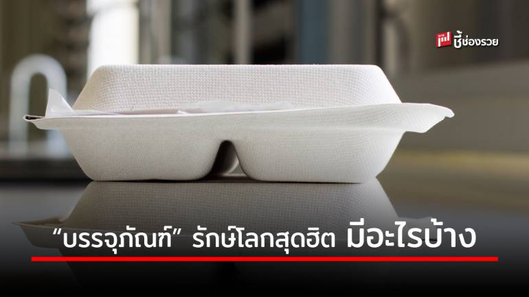 รักษ์โลกยังมาแรง! รวมสินค้าวัสดุรักษ์โลก ต้นทุนจากธรรมชาติ สร้างรายได้งาม 