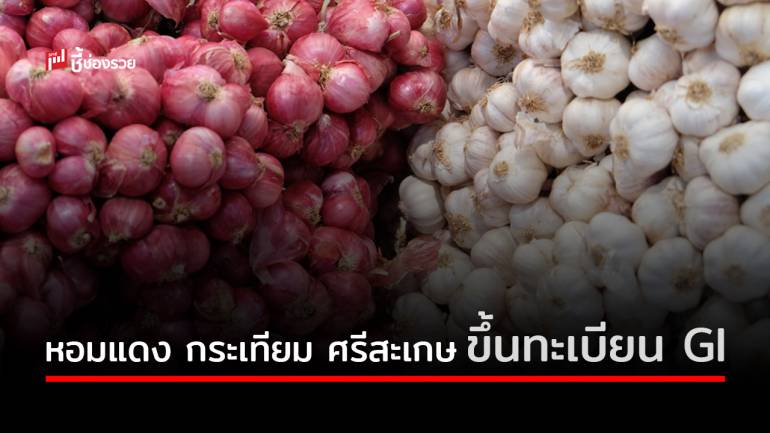 หอมแดง - กระเทียม จังหวัดศรีสะเกษ ขึ้นทะเบียน GI แล้ว