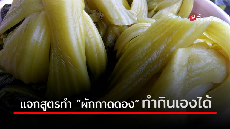 แจกสูตรทำ “ผักกาดดอง” ทำกินเองที่บ้านแบบง่ายๆ