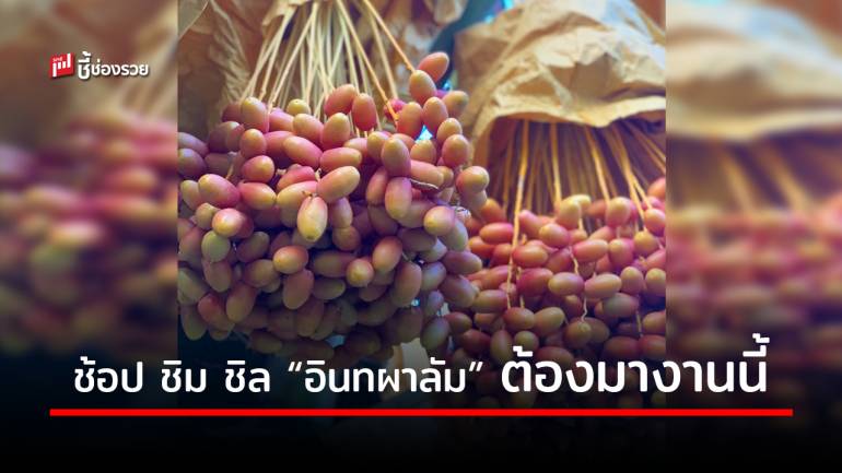 11– 12 กรกฎาคม  63 นี้ ห้ามพลาด!! เชิญเที่ยวงาน “Intapalum Festival” ณ จ.เพชรบูรณ์