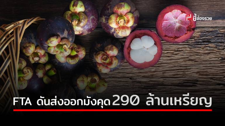 “กรมเจรจาฯ” เผย FTA ดันส่งออกมังคุดไทยขยายตัวมูลค่ากว่า 290 ล้านเหรียญสหรัฐ 