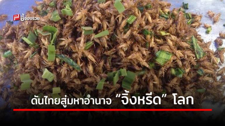 เตรียมดัน “จิ้งหรีด” อีสาน สู่อุตสาหกรรมอาหารแห่งอนาคต