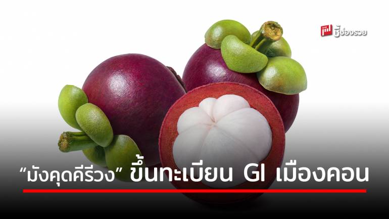 กรมทรัพย์สินทางปัญญา รับคำขอขึ้นทะเบียน GI “มังคุดเขาคีรีวง” เมืองคอน