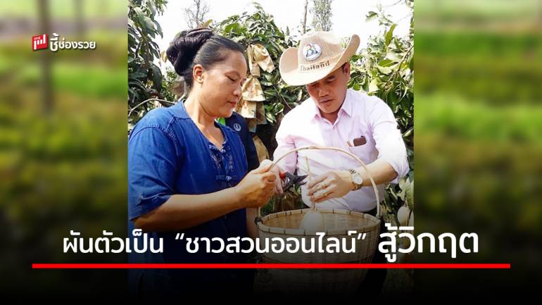 ส่องวิถี 3 เกษตรกรสู้วิกฤต COVID – 19 ผันตัวเป็น “ชาวสวนออนไลน์” 