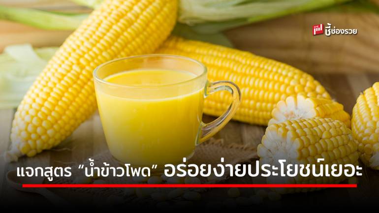 แจกสูตร “น้ำนมข้าวโพด” อร่อย ประโยชน์เยอะ ทำง่ายขายกำไรดี