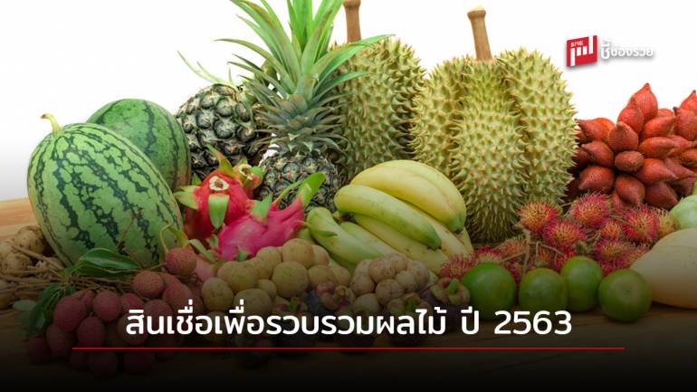 ธ.ก.ส. พร้อมสนับสนุนสินเชื่อเพื่อรวบรวมผลไม้ ปี 63