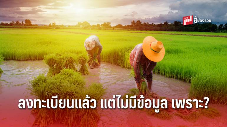 เหตุใดเกษตรกรไม่มีข้อมูลใน www.เยียวยาเกษตรกร.com ทั้งที่ลงทะเบียนแล้ว