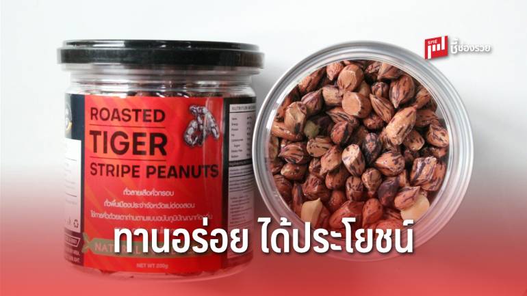 Roasted Tiger Stripe Peanuts ถั่วลายเสือ ของกินเล่นรสอร่อยได้ประโยชน์