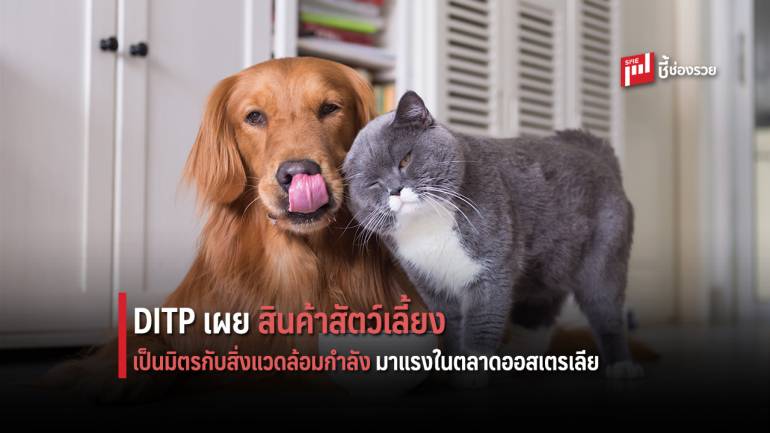 DITP เผยสินค้าสัตว์เลี้ยงที่เป็นมิตรกับสิ่งแวดล้อมกำลังมาแรงในตลาดออสเตรเลีย