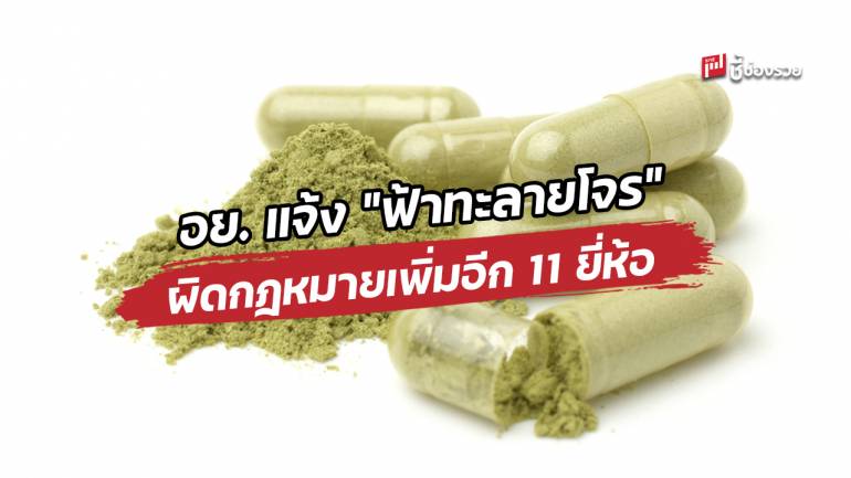 เช็คเลย! อย. แจ้ง “ฟ้าทะลายโจร” ผิดกฎหมายเพิ่มอีก 11 ยี่ห้อ (ก่อนซื้อต้องตรวจสอบ)