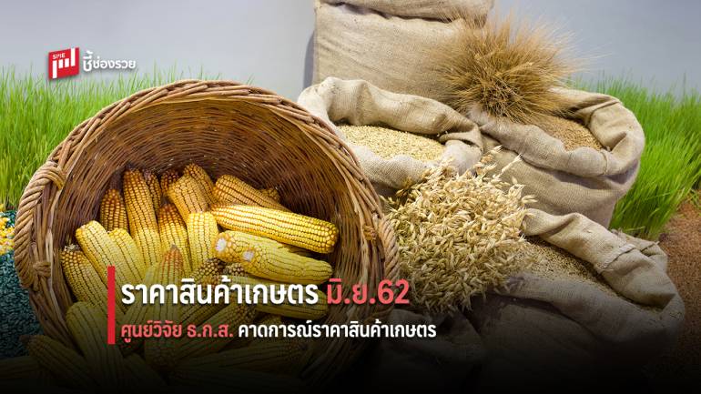 ศูนย์วิจัย ธ.ก.ส. คาดการณ์ราคาสินค้าเกษตร เดือนมิถุนายน 2562