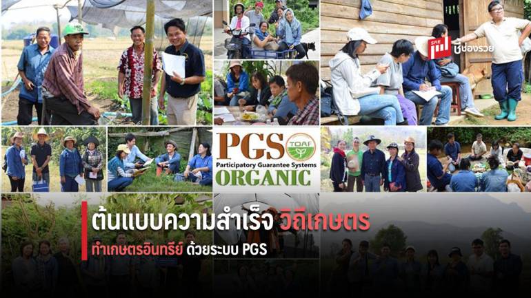 สหกรณ์เกษตรอินทรีย์เชียงใหม่ ต้นแบบความสำเร็จทำเกษตรอินทรีย์ด้วยระบบ PGS