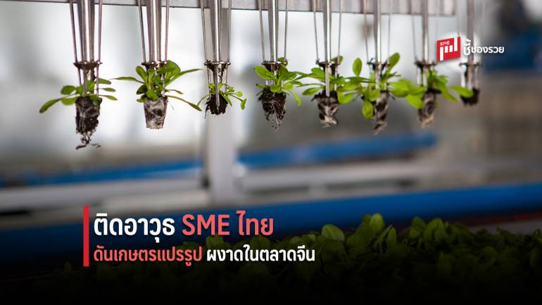 ‘กรมเจรจาฯ’ ติดอาวุธผู้ประกอบการ SME ไทย พาตะลุยแดนมังกร  สร้างเครือข่ายพันธมิตรธุรกิจ 