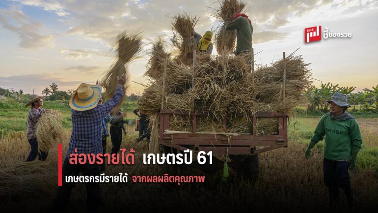 ส่องรายได้เงินสดเกษตร ปี 61 ผลงานรัฐ ดันรายได้เกษตรกรเพิ่มขึ้น ผลผลิตเกษตรได้คุณภาพ