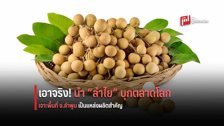 กรมเจรจาฯ จับมือ กรมส่งเสริมสหกรณ์ ยกทัพบุกลำพูน เพิ่มศักยภาพลำไย สู่ตลาดโลกด้วยเอฟทีเอ