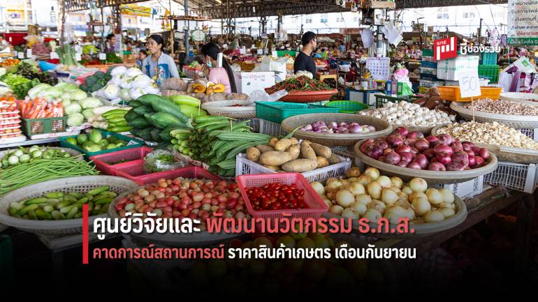 ศูนย์วิจัย ธ.ก.ส. คาดการณ์ราคาสินค้าเกษตร เดือนกันยายน