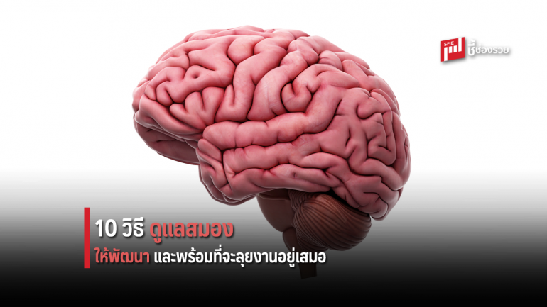 10 วิธีดูแลสมอง ให้พัฒนาและพร้อมที่จะลุยงานอยู่เสมอ