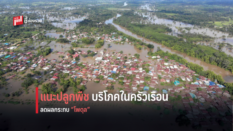 สศก. ประเมินพิษโพดุล กระทบความเสียหายเศรษฐกิจ เมืองอุบล 2,027 ล้านบาท