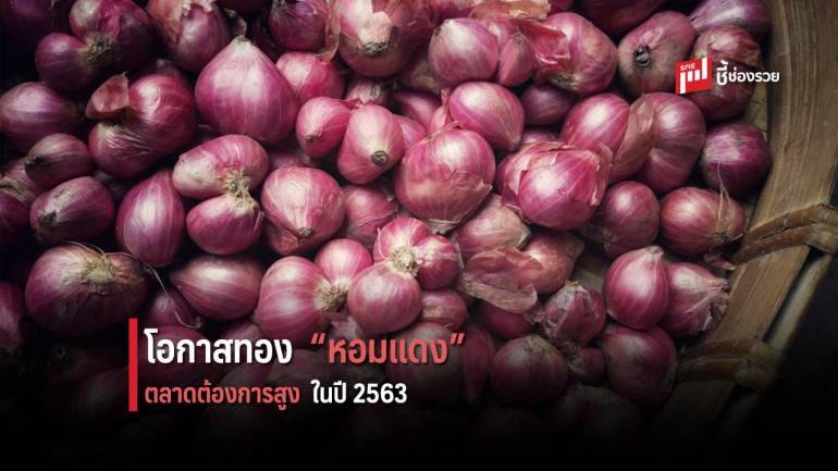 สศก. คาด ปี 63 ผลผลิตหอมแดง จ.ศรีสะเกษ รวมกว่า 45,000 ตัน เพิ่มขึ้น 7% จากปีก่อน  