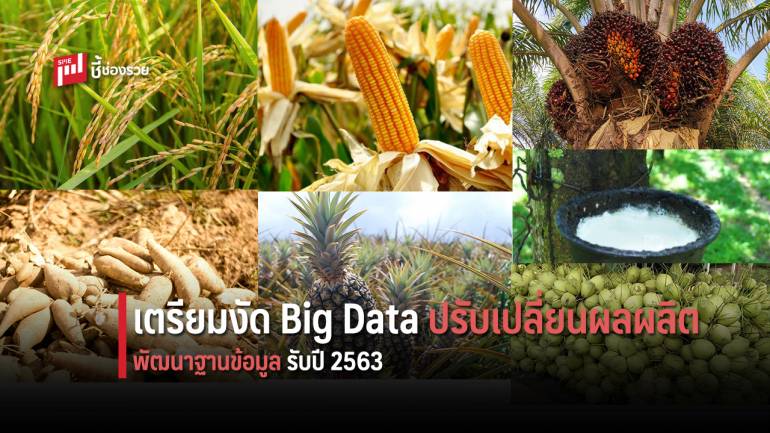 สศก. แนะแนวทางปรับเปลี่ยนการผลิตระดับภาค เตรียมดึง Big data พัฒนาฐานข้อมูลสินค้าเกษตรสำคัญ ปี 63 