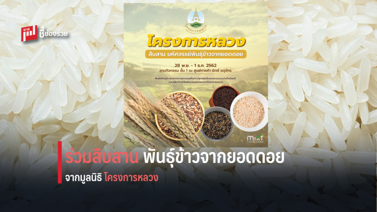 ศูนย์การค้า มิกซ์ จตุจักร ร่วมสืบสาน มหัศจรรย์พันธุ์ข้าวจากยอดดอย จาก มูลนิธิโครงการหลวง