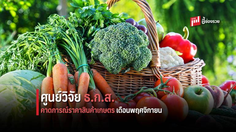 ศูนย์วิจัย ธ.ก.ส. คาดการณ์ราคาสินค้าเกษตรเดือนพฤศจิกายน