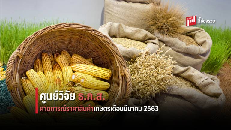 ศูนย์วิจัย ธ.ก.ส. คาดการณ์ราคาสินค้าเกษตรเดือนมีนาคม 2563