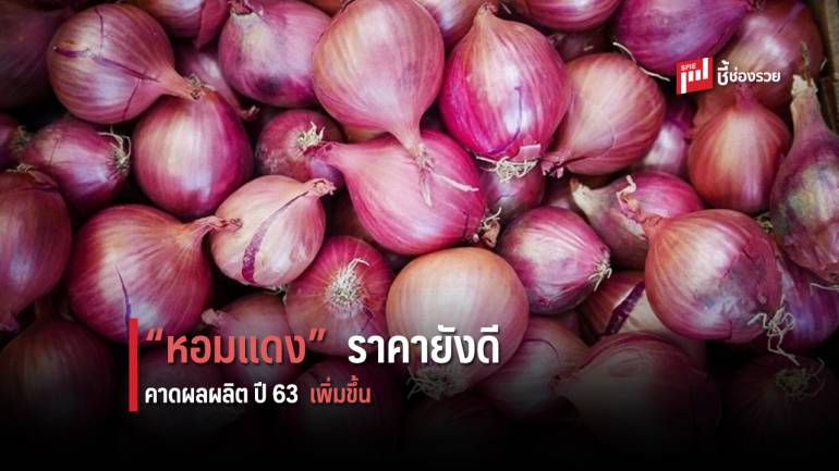 หอมแดงเพชรบูรณ์ ออกตลาดแล้ว สศก. ระบุ ปี 63 ผลผลิตเพิ่มขึ้น ราคายังดี