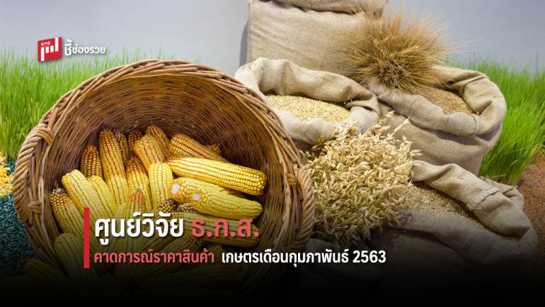 ศูนย์วิจัย ธ.ก.ส. คาดการณ์ราคาสินค้าเกษตรเดือนกุมภาพันธ์ 2563