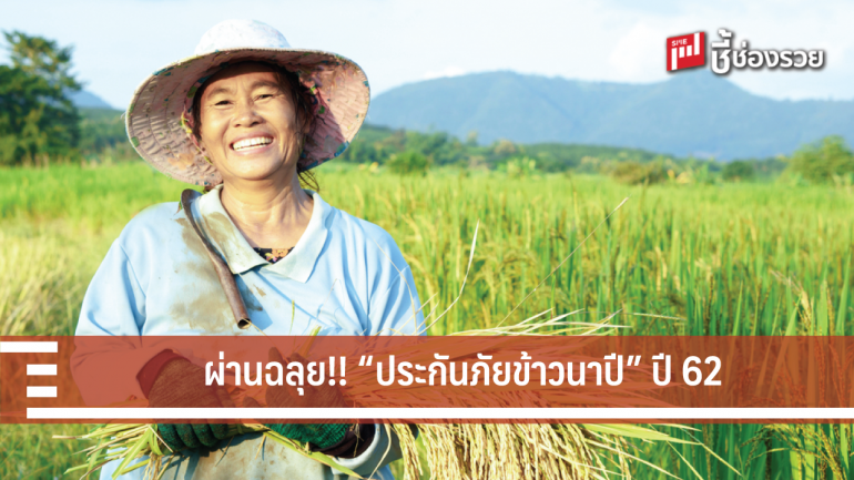 คลอดกรมธรรม์เรียบร้อย คปภ.ขานรับมติ ครม. ขับเคลื่อน “ประกันภัยข้าวนาปี-ข้าวโพดเลี้ยงสัตว์ปี 2562