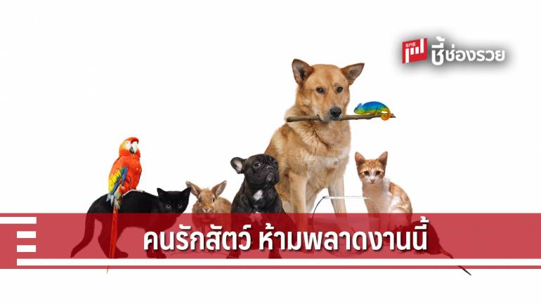 ธุรกิจสัตว์เลี้ยงมาแรงในไต้หวัน อยากรู้เทรนด์ส่งออก ห้ามพลาดงานนี้