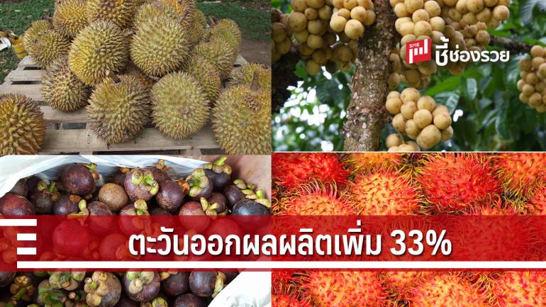 ผลสรุปตัวเลขไม้ผลตะวันออก 4 ชนิด สศก. เผย ปีนี้ ผลผลิตรวม 8.8 แสนตัน เพิ่มขึ้น 33%