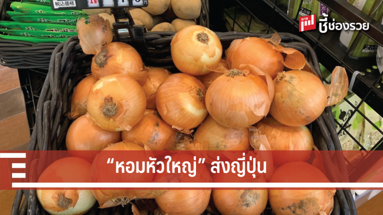 “หอมหัวใหญ่” ขาดตลาดในญี่ปุ่น โอกาสเกษตรกรไทยส่งออก