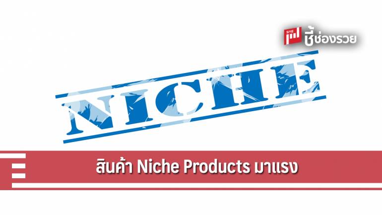 จับตาสินค้าเฉพาะกลุ่ม Niche Products มาแรง 