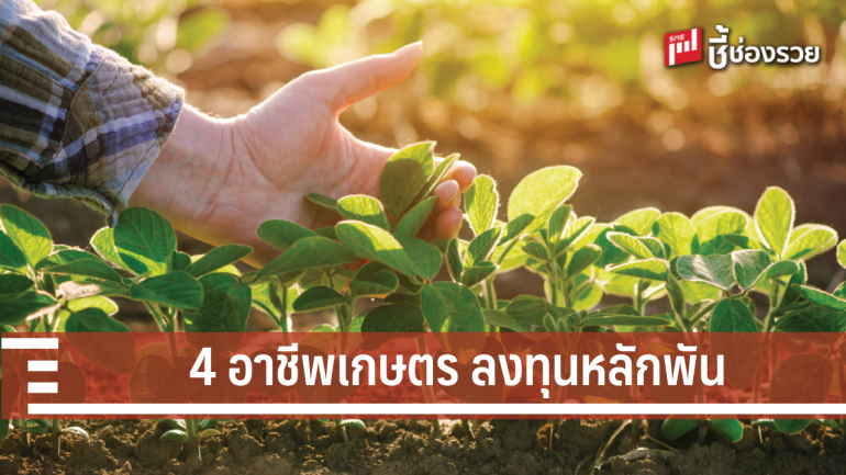 เจาะ 4 อาชีพเกษตรทำเงิน ลงทุนหลักพัน กำไรตลอดปี