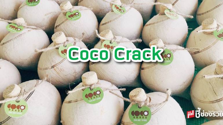 มะพร้าว จุกคอร์ก Coco Crack เปิดง่ายแค่ปลายนิ้ว