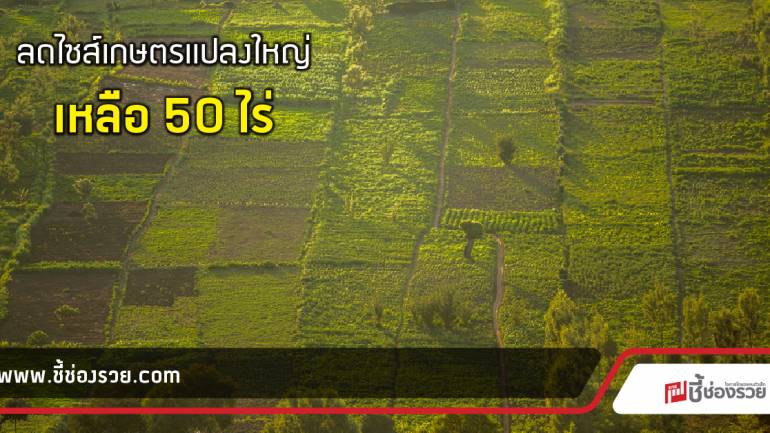 เกษตรแปลงใหญ่ กระทรวงเกษตร สั่งลดไซส์เหลือ 50 ไร่!