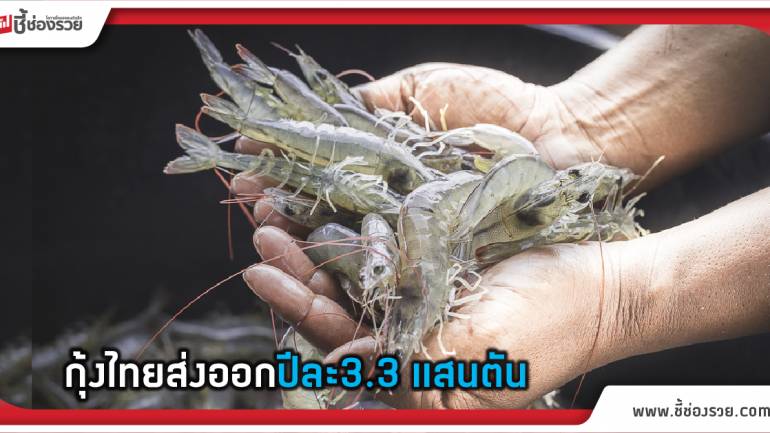 สมาคมกุ้งไทยมั่นใจส่งออกปี’61 โต10%