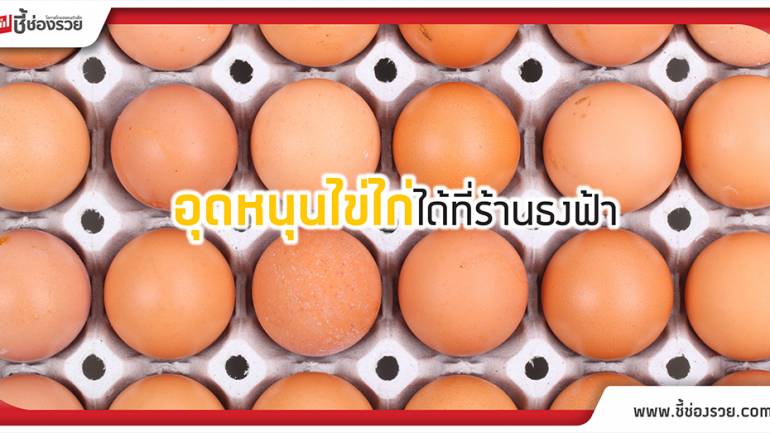 ดึงร้านธงฟ้ากระจายไข่ไก่ แก้ปัญหาล้นตลาด