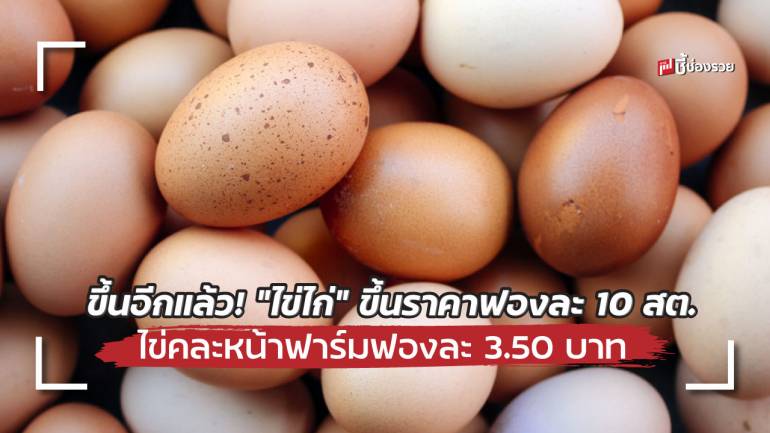 วันนี้ขึ้นอีกแล้ว! “ไข่ไก่” ขึ้นราคาอีกฟองละ 10 สตางค์ ไข่คละหน้าฟาร์มฟองละ 3.50 บาท