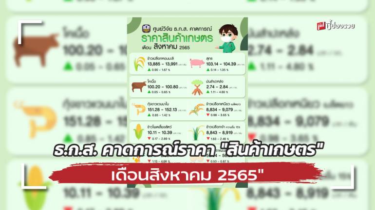 ศูนย์วิจัย ธ.ก.ส. คาดการณ์ราคา “สินค้าเกษตร” เดือนสิงหาคม 2565